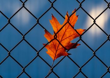 5 Team Dynamics That Raise Real Barriers To Progress