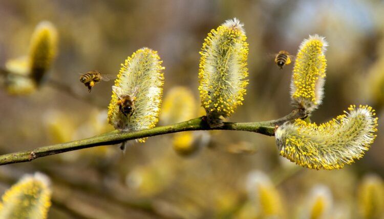 A Guide to Doing Your Due Diligence Before You Go All In