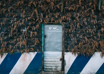 How the Death of Data Entry Creates More Meaningful Work