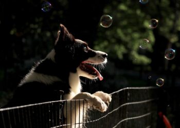 Why Decentralized Companies Are So F****** Cool To Work At