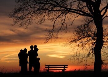 5 Reality Checks on Running a Charitable Organization