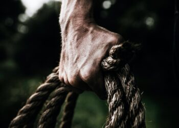 4 Ways Businesses Are Playing to Their Strengths During the Pandemic