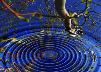 Make Yourself A Key Sustainable Competitive Advantage