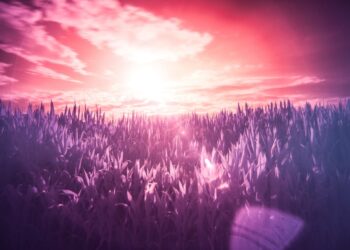 How To Take Your Business Idea From Dream To Reality